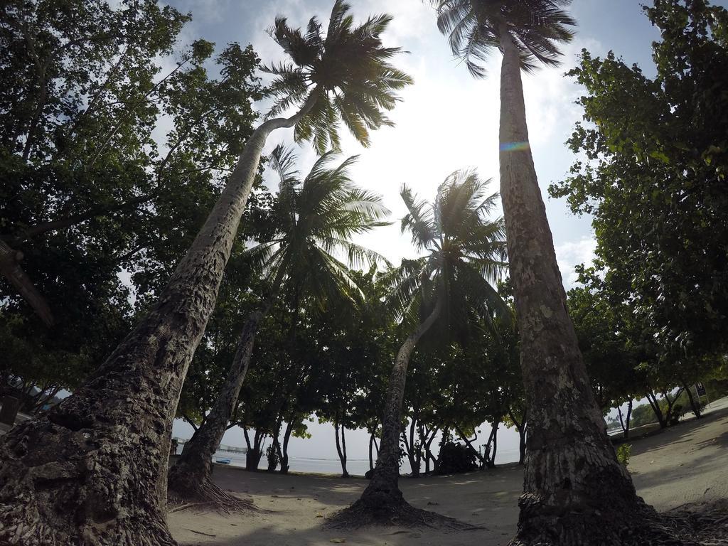 Rip Tide Vacation Inn, K.Guraidhoo Guraidhoo  Exterior foto