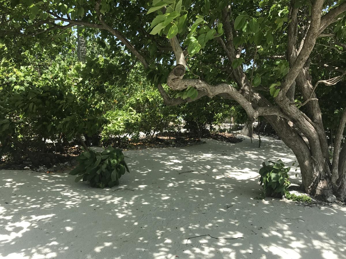 Rip Tide Vacation Inn, K.Guraidhoo Guraidhoo  Exterior foto